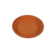 미스터허브 구문초 로즈제라늄 제라늄 모기퇴치식물 허브키우기, 화분받침10cm(2개)
