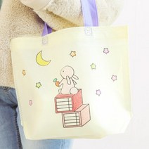 민화 부직포 가방 6종 / 어린이 초등 색칠하기, 묘접도