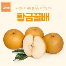 고씨네 특급 배 3.5kg 배즙 서양배 신고배 나주배, 쿠팡이것저것 1