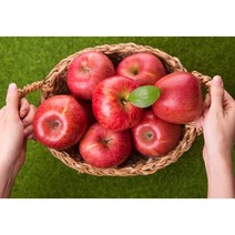 프리한 경북 세척 사과 꼬마소과 소과 2.5kg 5kg, 가정용 세척사과 2.5kg 소과(11-14과), 1개