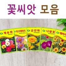 살아있는 꽃씨 야생화 키우기 다년생 채송화 다알리아 달맞이꽃 해바라기 맨드라미 봉선화 코스모스 메리골드 패랭이 접시꽃 사루비아 구절초 유채 백일홍 금잔화 꽃씨앗, S- 꽃씨-나팔꽃 x 1개, 1개