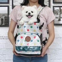 강아지 머리 내밀수있는 물걸레 세탁 애견 가방 이쁜 통풍망 버스애완견 개이동가방, 그레이 L