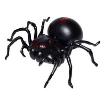 소금물로 움직이는 타란튤라 독거미