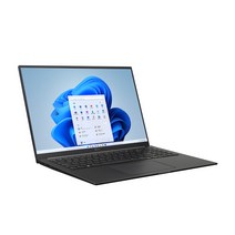 LG전자 울트라PC 엣지 16U70Q-HA76K [256GB 16GB], WIN11 Home, 차콜그레이, 256GB, 라이젠7, 16GB