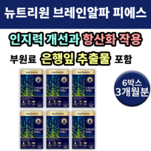 브레인 알파 피에스 뉴트리원 은행잎 추출물 기억력 노인 중년 어르신 부모님 남자 여자 에좋은 깜빡할때 까먹을때 영양재 건강 보조 식품 영양제 필수 40대 50대 60대 70대 먹는, 6통(180정) 3개월분 *할인(-25800원)*