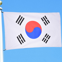 대한민국 태극기 90x150cm 대형 가정용 응원용 학교