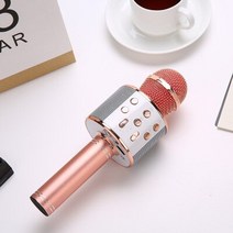 가정용 코인노래방 기계 휴대용 길거리공연 찬양 반주기 부스 lewinner l-699 전문 노래방 마이크 무선 스피커 블루투스 마이크 전화 지원 기록 tf play, 1-황금