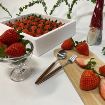 GAP인증 새벽수확 논산 순수딸기, 프리미엄 설향 특 750g