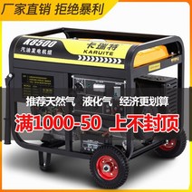 자가 발전기 캠피용 가정용 비상용 차박 독일 수입 가솔린 소형 220v 단상 3KW 삼상 5kW 380V 디젤, [15] 6500w 핸드 풀 스타트 + 가솔린 220v