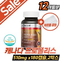 캐나다산 propolis NK세포 눈에좋은 온가족 건기식 프로폴리스 꿀벌 면역력 항산화제 플로폴리스 목관리 혀염증 잔기침 30대 40대 온가족 여성 남성 홈쇼핑 50대 60대 추천