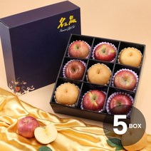 초록자연 명품 혼합 3호 과일선물세트(5개입), 1개
