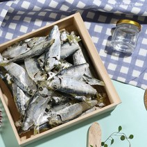 디포리 국물용 육수용 다시용 밴댕이 남해안 최상급 250g 1.5kg, 500g