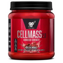 BSN 신타6 BCAA 크레아틴 글루타민 495g 25회분