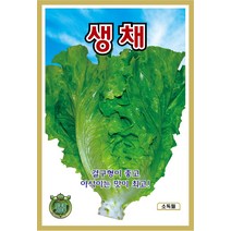 쌈채소 씨앗] 상추 생채 1500립