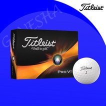 2023년 타이틀리스트 pro v1 v1x 새로운 골프공 골프볼 골프선물 골프공, pro v1x, 포장안함, 옐로우