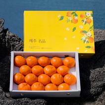 [품질보증] 인하네 제주 레드향 3kg 5kg 10kg 과일 선물 세트, 1box, 레드향_3kg_가정용(중향)