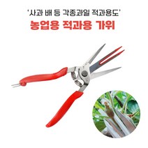 사과 배 등 각종과일 적과용가위. 과수원가위 농장가위 원예가위