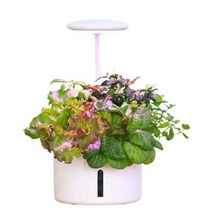 탁상 식물 재배기 미니 실내 키우기 재배 상추 야채, 화이트 4홀