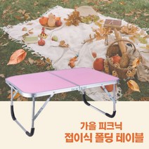접이식테이블 피크닉 테이블 캠핑 휴대용 폴딩 미니 간이 테이블 원룸, 블루