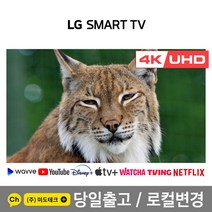 LG 55인치 4K UHD 스마트 TV 55UM6950 리퍼, 2. 수도권역 벽걸이 +상하브라켓