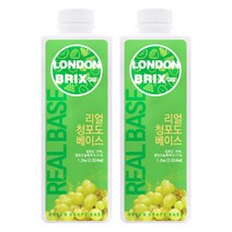 서울팩토리 리얼 청포도 베이스 1.2kg 2개세트
