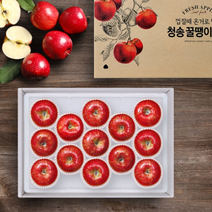 [청년연구소][선물세트] 청송 꿀땡이 사과 5kg 10-14과(대과)