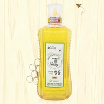 강원양봉 허니드림 사양벌꿀 2kg(튜브), 1박스