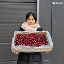 [물컹체리NO!] 프리미엄 체리 미국산 칠레산 생체리 항공수입 500g 1kg 2kg, 체리 생과 500g