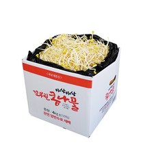 [생산자 직송] 천연 암반수로 키운 튼실한 꼬부린 콩나물, 1kg