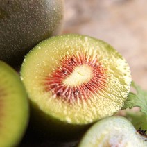 [제주직송] 달콤한 홍다래 제주 레드키위 2kg 중과(28-30과내외), 단품