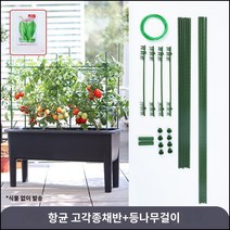 킹마이크로 플라스틱 회색 항균 하이풋종채반+등나무틀/대2세트 수경 재배 스마트팜 채소 야채 식재용, 단품