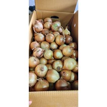 2023년 수확한 양파 햇양파 최상품 3kg 5kg 10kg, 10kg (장아찌용), 1개