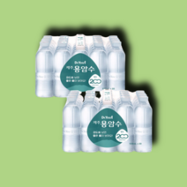 오리온 제주용암수 무라벨 닥터유 530ml 40개, 530ml 40펫