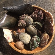 조개탕수산물 어패류 세트 (6종)1kg 제철 캠핑모듬조개 해산물 바지락 째복 명주 갈미 백합조개 백상합 모시 뿔소라 대왕 참가리비구이 키조개 전복 삐뚤이소라 밀고동 돌조개 흠스수산, 1개, 5kg