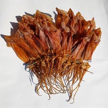 마른오징어 말린 완전건조 굽지않은 쫄쫄이오징어 650g/1.3kg, 1.3kg (20미)