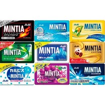 민티아 MINTIA 구강청량 평일4시 토요일4시발송, 1.와일드앤쿨