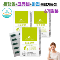 NM 식약처인증 기억력 개선 은행잎추출물 + 코엔자임Q10 복합기능성 60캡슐 징코큐텐 높은 혈압 감소 도움 여성 남성 부모님 노인 영양제, 3개