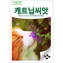 [캣그라스] 개박하씨앗 800립 캣민트 캣닙 캣닢 개박하 허브 씨앗 종자