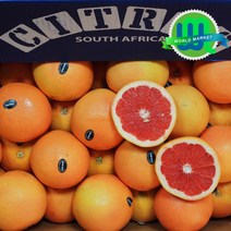 남아공 레드자몽 대과 개당350g내외, 20입, 대과350g내외