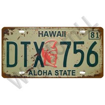 오토바이 번호판 스티커 튜닝 브라켓 금속 터 빈티지 미국 텍사스 뉴욕 캘리포니아 자동차 번호 장식 벽 바, 10 E0058