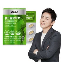 종합 비타민 추천 여자 영양제 징코빌로바 징코 은행잎 추출물 1박스 총 1개월분 11중기능성