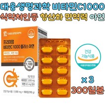 청소년 중년 여성 남성 비타민 C 아연 영양제 보충제 노인 노년 성인 시니어 실버 직장인 면역 면역력 에좋은 높이는 높여주는 음식 식품 방법 프리미엄 필수 영양소 결핍 부족 보충
