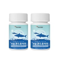리얼 콘드로이친 정 콘드로이친 황산 상어연골분말 해조칼슘 보스웰리아 초록입홍합 비타민D 밀크칼슘 우슬 치커리 버드나무껍질 히알루론산 관절 연골 콘드레친, 2개, 60정