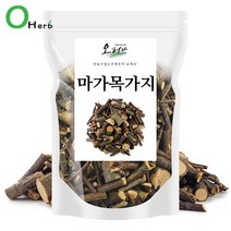 국내산 마가목 가지 마가목주 250g, 없음