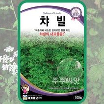 챠빌 씨앗 100립 처빌 차빌 chervil 허브씨 cerefolium 전호속, 단품