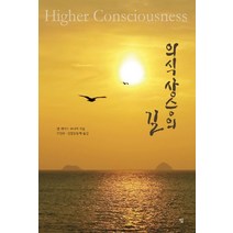 의식상승의 길:집착을 벗어나기 위한 실생활 사랑법, 빛, 켄 케이즈 주니어 저/오인수,신업공동체 공역
