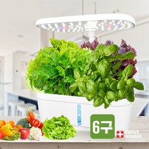 니즈레이더 식물키우기 자동 수경재배기 가정용 실내 스마트팜 LED 6구 야채 채소 상추 토마토 꽃 허브류 씨앗, 단품