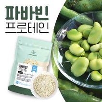 파바빈 프로테인 잠두콩 식물성 단백질 300g, 1개