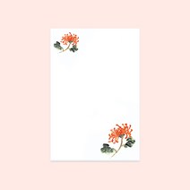 한국의꽃 캘리그라피엽서 무지(가을 실국화)