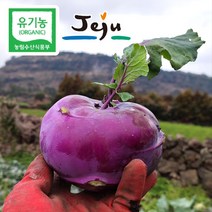 아삭아삭 고당도 제주산 농장직송 제주 햇 콜라비 3kg 5kg 10kg, 3. 제주 콜라비 10kg